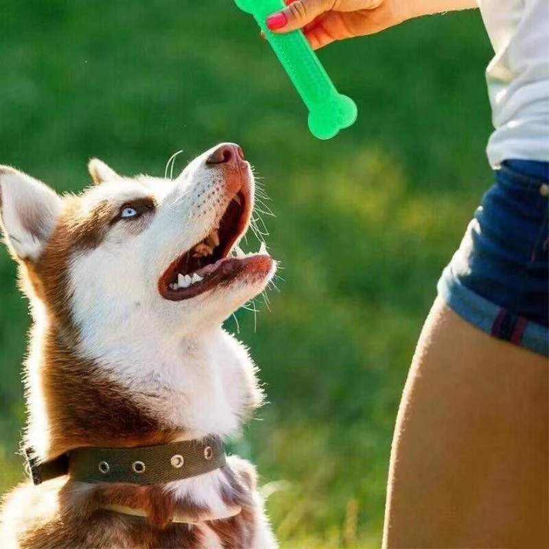 Training Clicker Dog - Supersterk hondenbot kauwspeeltje Regenboog voor agressieve