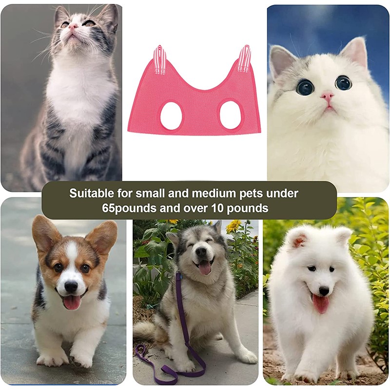 Pet Supplies Nail Trim - Huisdier Schoonheidshangmat Hangende Kattenverzorging Nagelsnijden Anti-kras