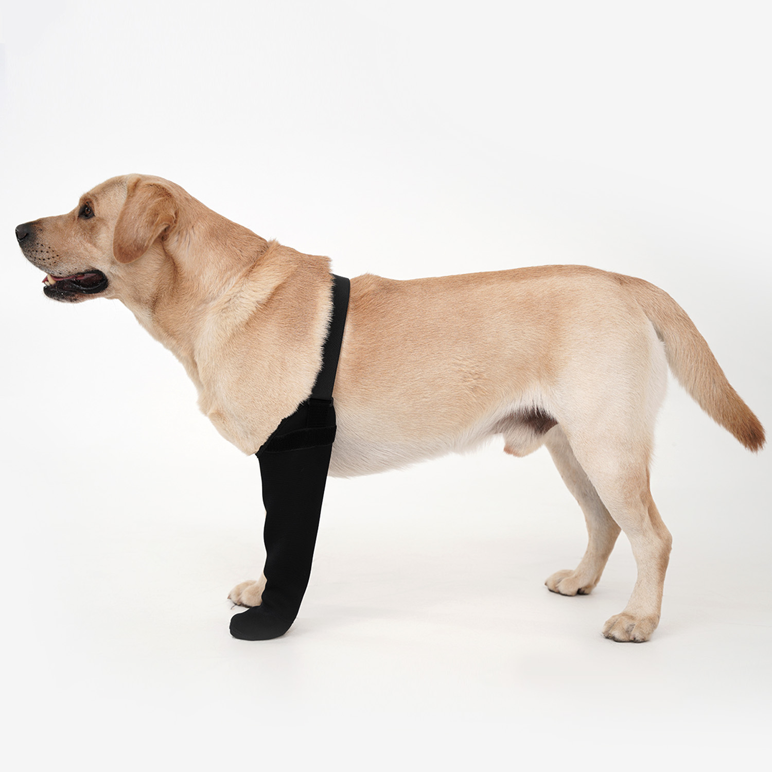 Dog Raincoat - Waterdichte hondensok met één poot, antislip