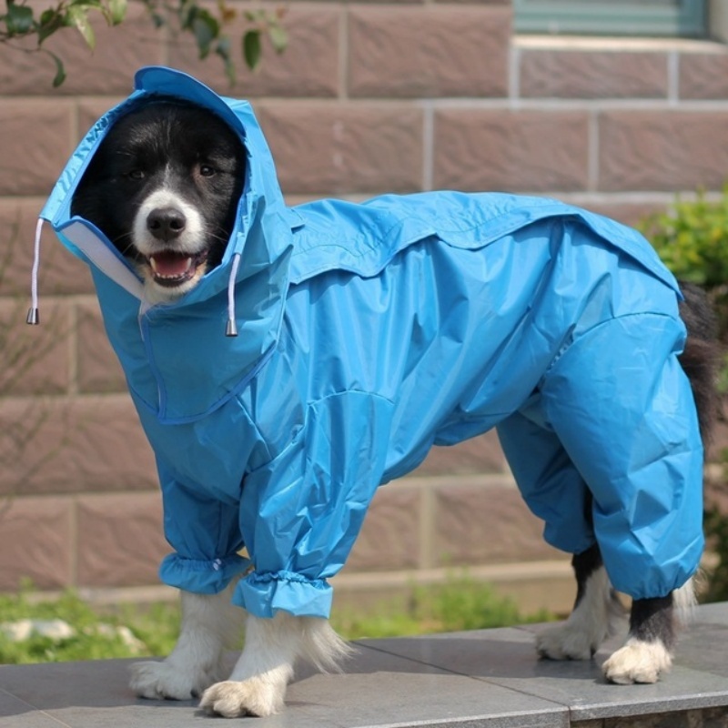 Outdoor hondenregenjas jumpsui - Dog Raincoat recensie en prijs