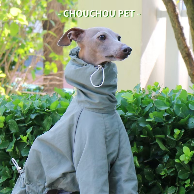 Italiaanse windhond regenjas h - Dog Raincoat recensie en prijs