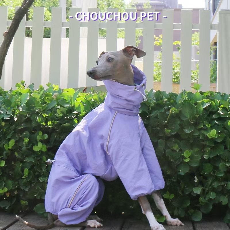 Italiaanse windhond regenjas h - Dog Raincoat recensie en prijs
