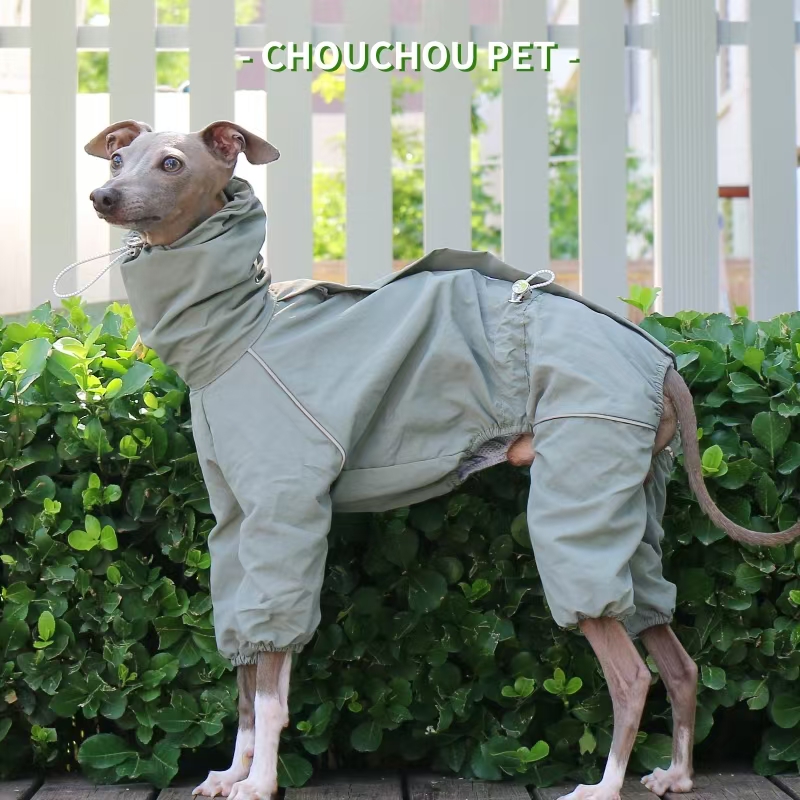Italiaanse windhond regenjas h - Dog Raincoat recensie en prijs