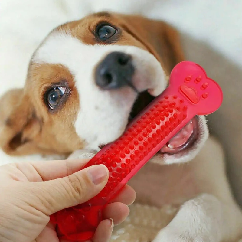 Supersterk hondenbot kauwspeel - Training Clicker Dog recensie en prijs