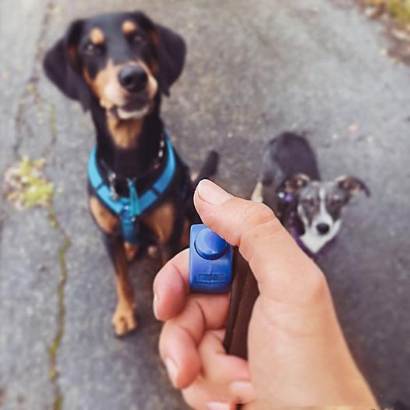 Nieuwe Ring Clicker Pet Mini F - Training Clicker Dog recensie en prijs