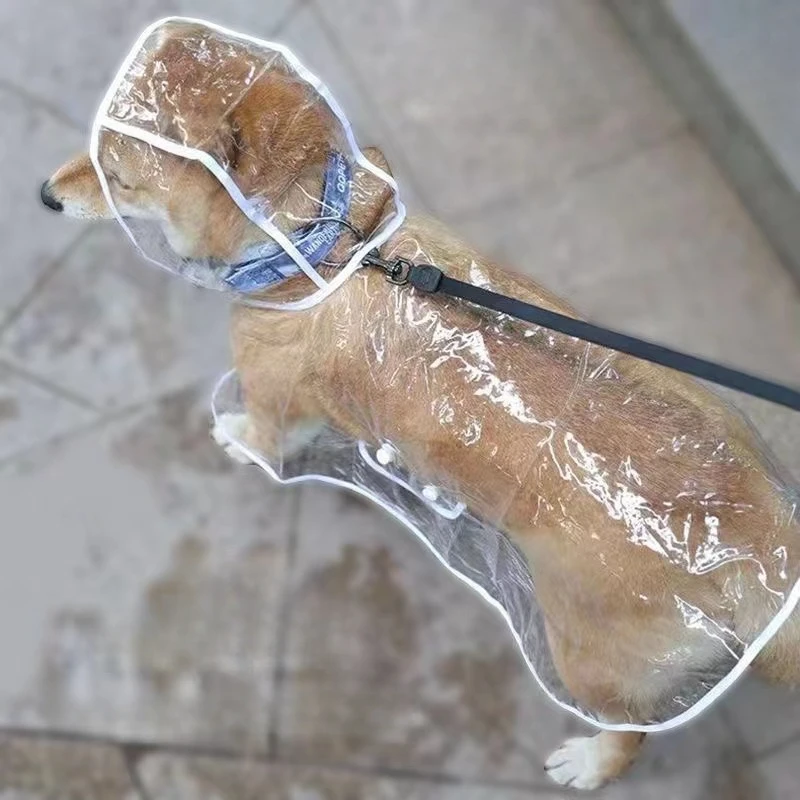 Hondenregenjas Puppy Transpara - Dog Raincoat recensie en prijs