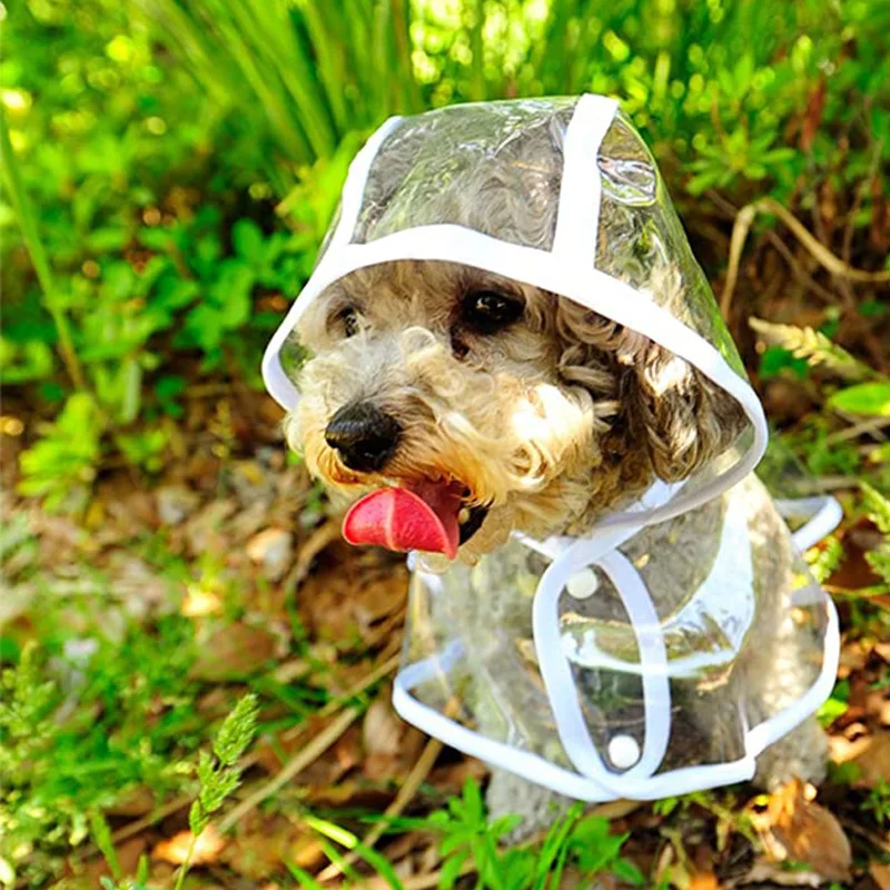 Hondenregenjas Puppy Transpara - Dog Raincoat recensie en prijs