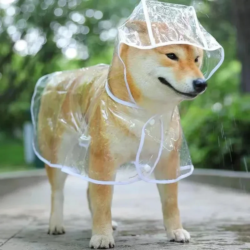 Hondenregenjas Puppy Transpara - Dog Raincoat recensie en prijs