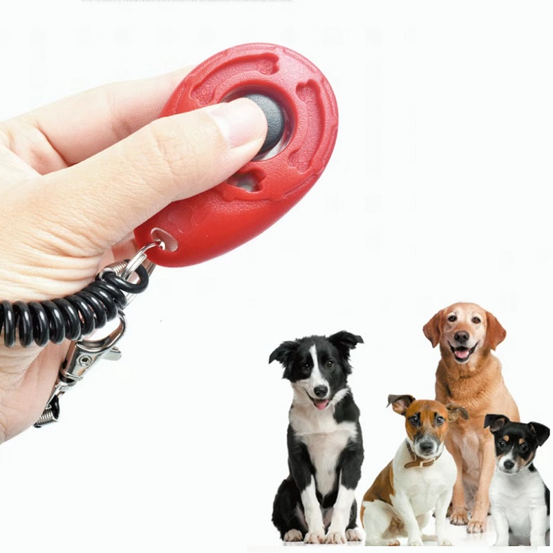 Verstelbare polsband Pet Train - Training Clicker Dog recensie en prijs
