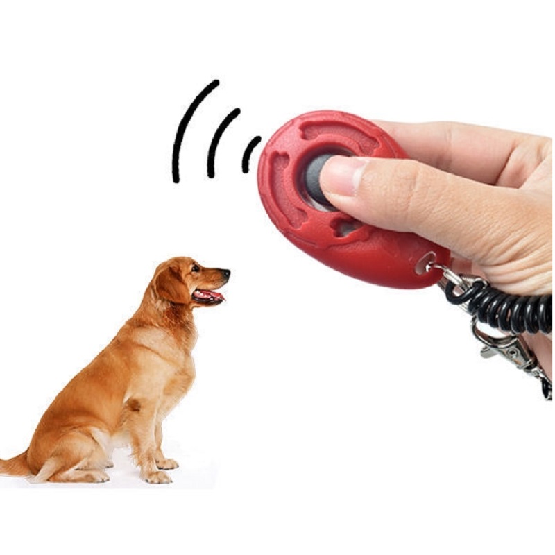 Verstelbare polsband Pet Train - Training Clicker Dog recensie en prijs