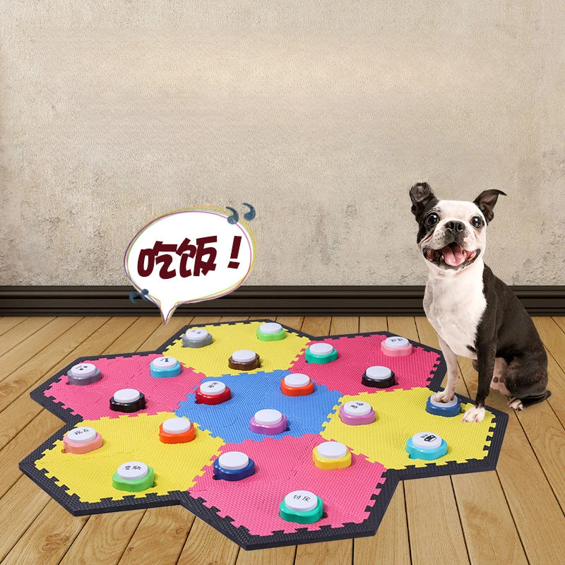 Mini huisdier opneembare commu - Training Clicker Dog recensie en prijs