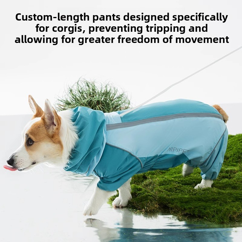 2026 Volledige dekking kleurbl - Dog Raincoat recensie en prijs