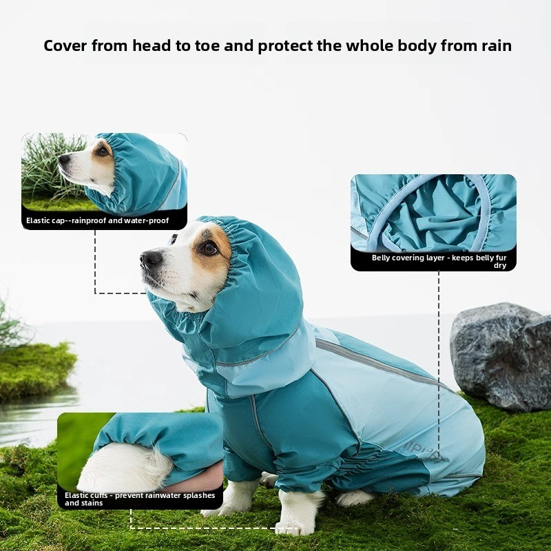 2026 Volledige dekking kleurbl - Dog Raincoat recensie en prijs