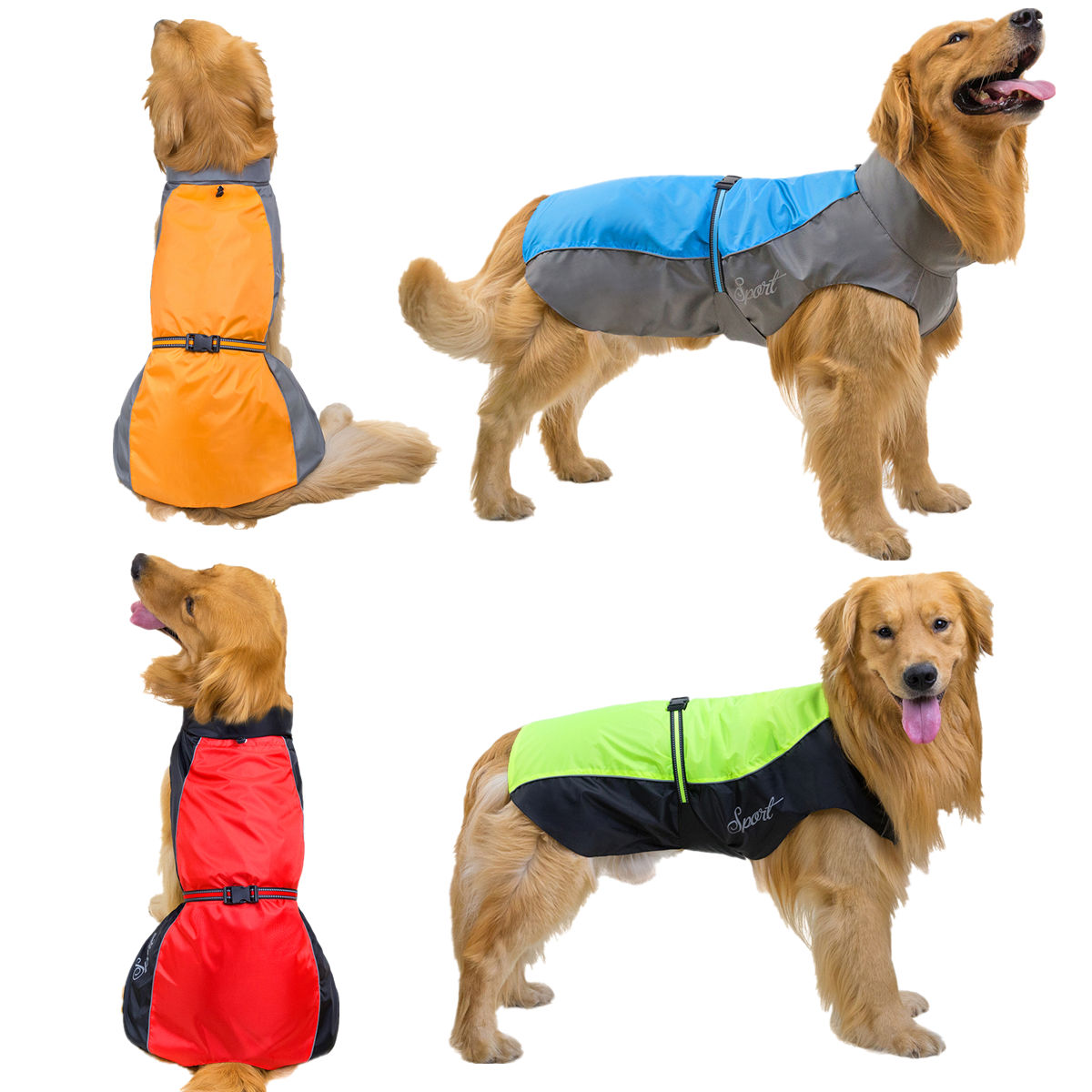 Regenjas voor huisdieren, wate - Dog Raincoat recensie en prijs