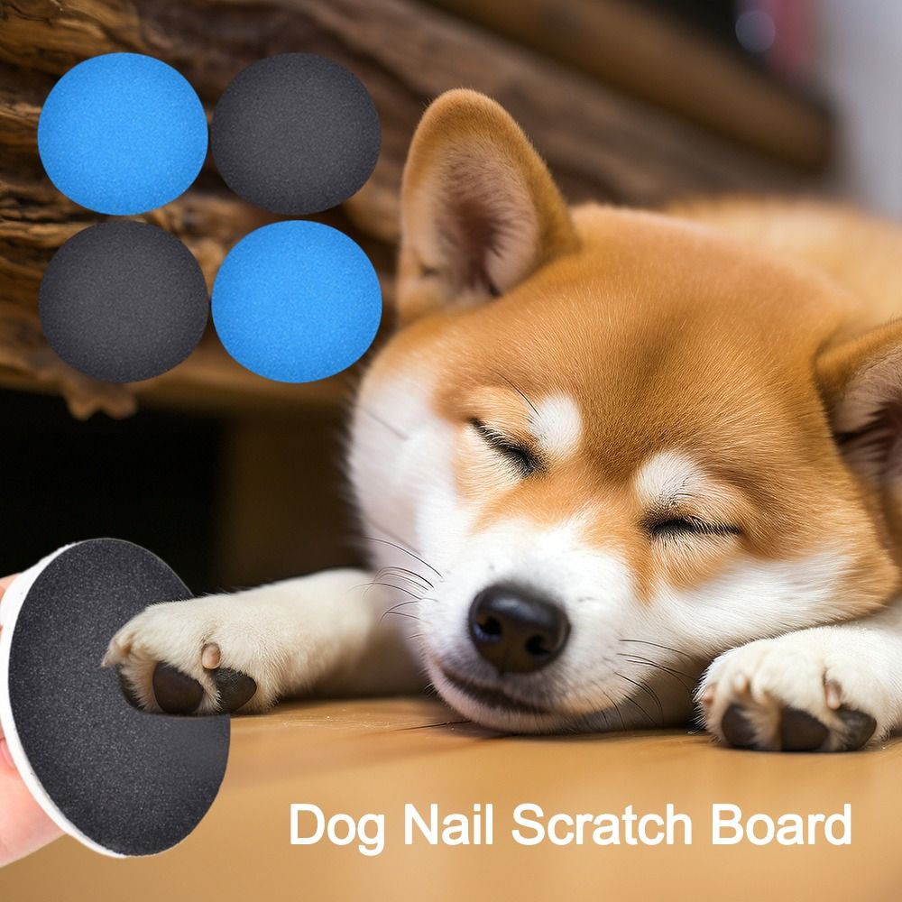 Vervanging Dierbenodigdheden H - Pet Supplies Nail Trim recensie en prijs