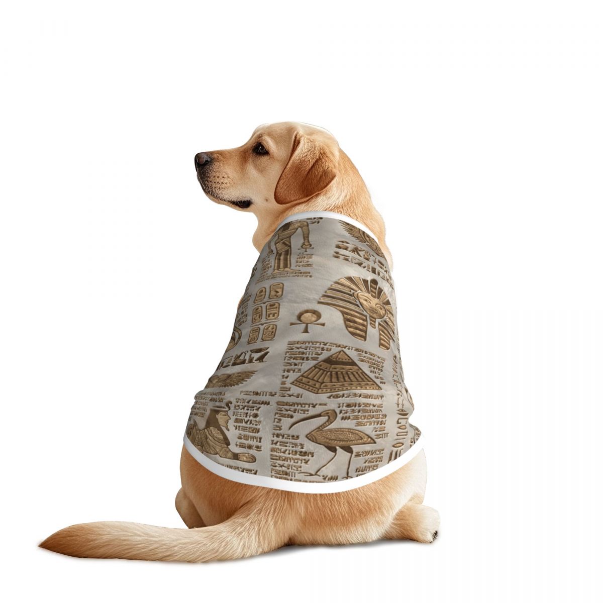 Egyptische hiërogliefen en god - Pet Supplies Egypt recensie en prijs