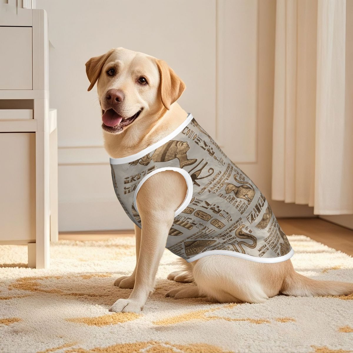 Egyptische hiërogliefen en god - Pet Supplies Egypt recensie en prijs
