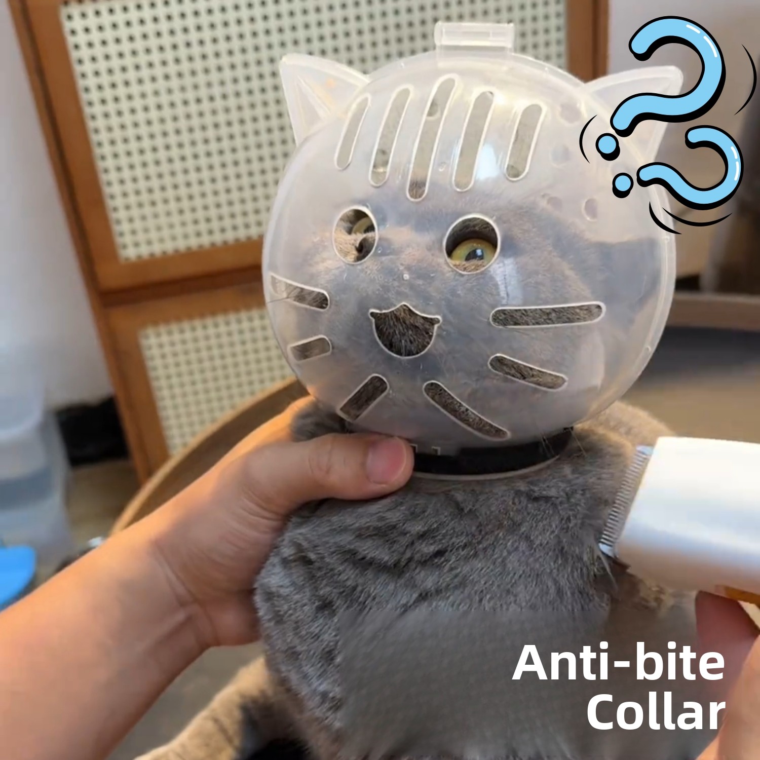   Hoofdbescherming Ruimtebad A - Pet Supplies Nail Trim recensie en prijs