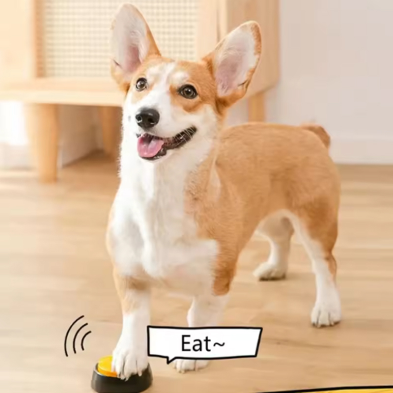 Communicatieknoppen voor honde - Training Clicker Dog recensie en prijs
