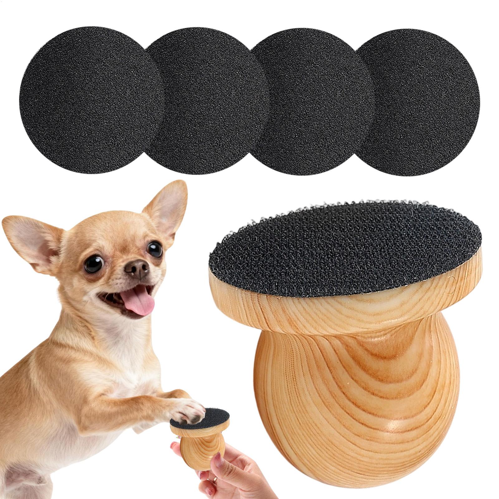 Handzame honden- en katten nag - Pet Supplies Nail Trim recensie en prijs