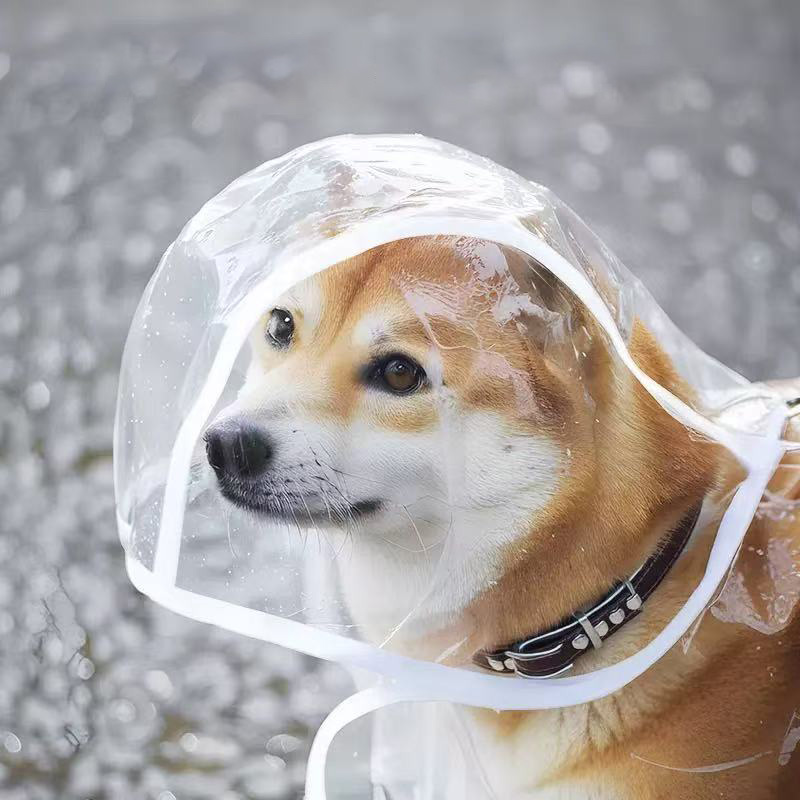 XS-8XL Huisdierenregenjas Tran - Dog Raincoat recensie en prijs