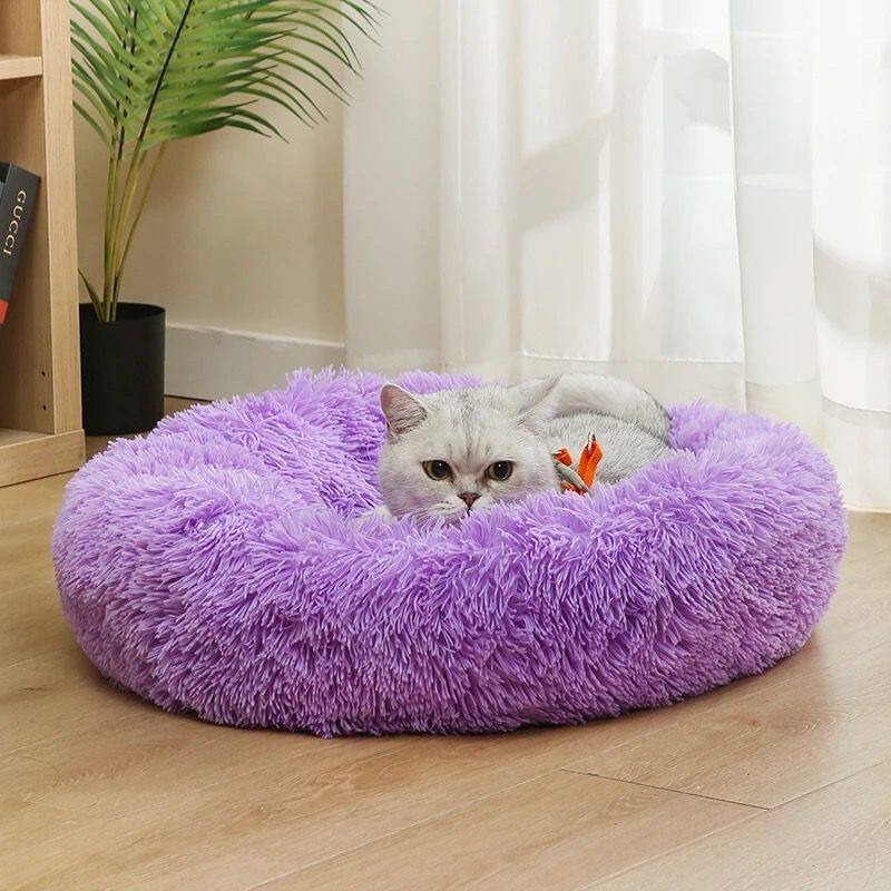 Party Cotton Hondenkussen Plui - Pet Supplies In Australia recensie en prijs