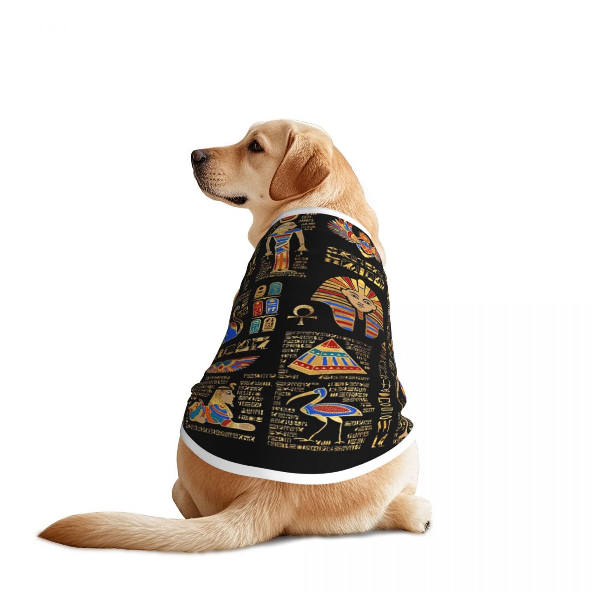 Egyptische hiërogliefen en god - Pet Supplies Egypt recensie en prijs