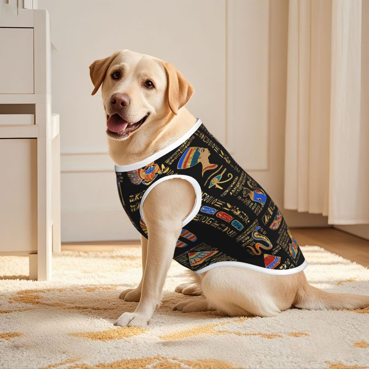 Egyptische hiërogliefen en god - Pet Supplies Egypt recensie en prijs